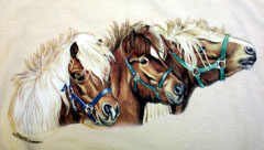 Three Ponies Tshirt